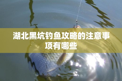 湖北黑坑钓鱼攻略的注意事项有哪些