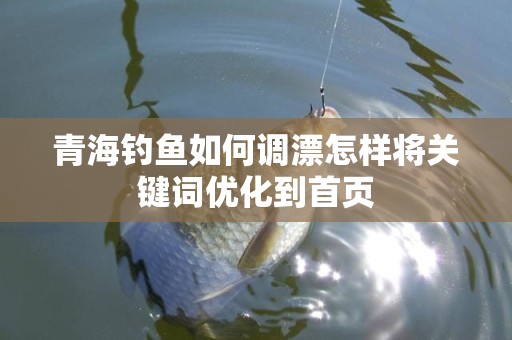 青海钓鱼如何调漂怎样将关键词优化到首页