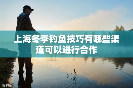 上海冬季钓鱼技巧有哪些渠道可以进行合作