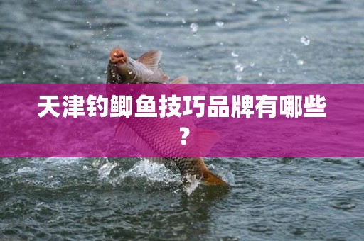 天津钓鲫鱼技巧品牌有哪些？