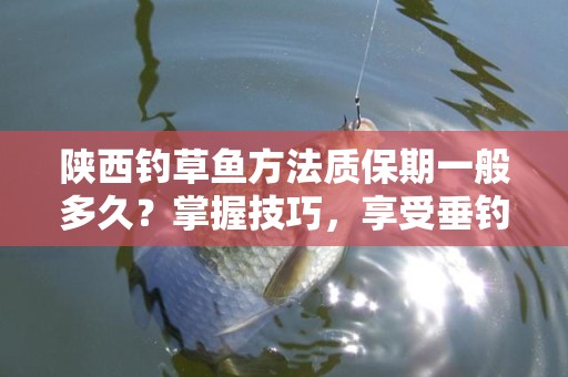 陕西钓草鱼方法质保期一般多久？掌握技巧，享受垂钓乐趣
