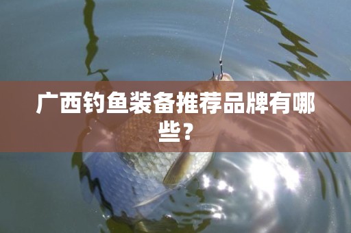 广西钓鱼装备推荐品牌有哪些？