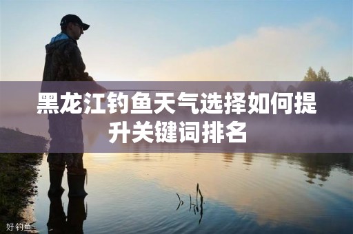黑龙江钓鱼天气选择如何提升关键词排名