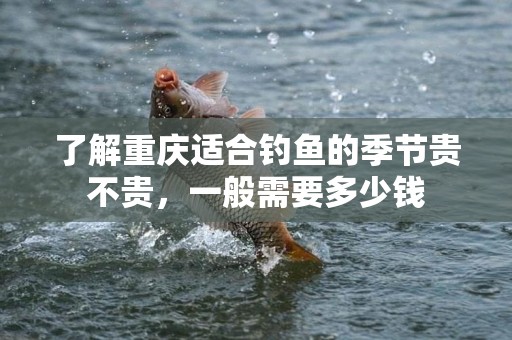 了解重庆适合钓鱼的季节贵不贵，一般需要多少钱