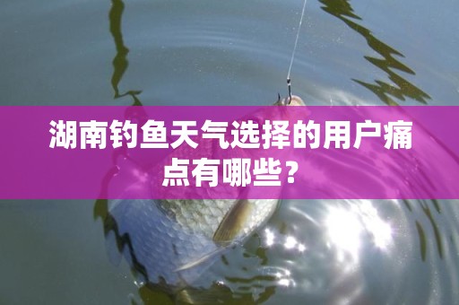 湖南钓鱼天气选择的用户痛点有哪些？