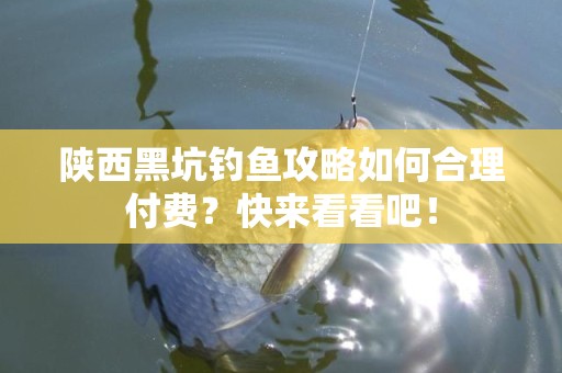 陕西黑坑钓鱼攻略如何合理付费？快来看看吧！
