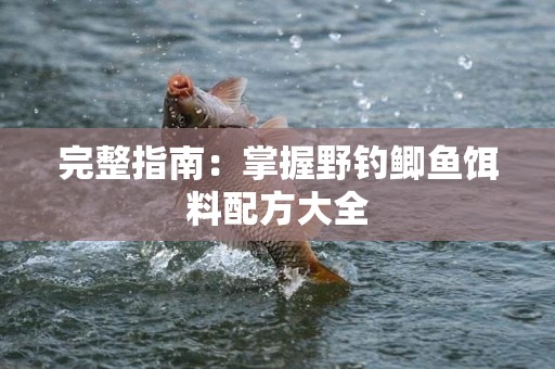 完整指南：掌握野钓鲫鱼饵料配方大全