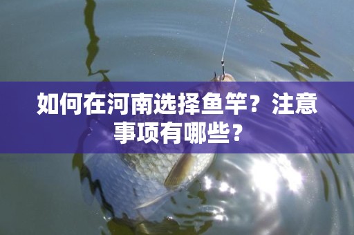 如何在河南选择鱼竿？注意事项有哪些？