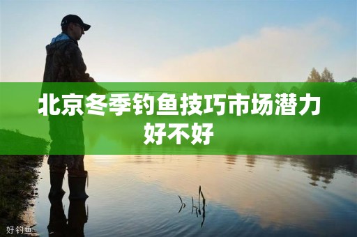 北京冬季钓鱼技巧市场潜力好不好