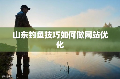 山东钓鱼技巧如何做网站优化