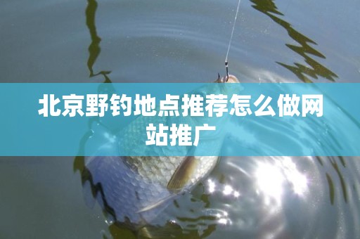 北京野钓地点推荐怎么做网站推广
