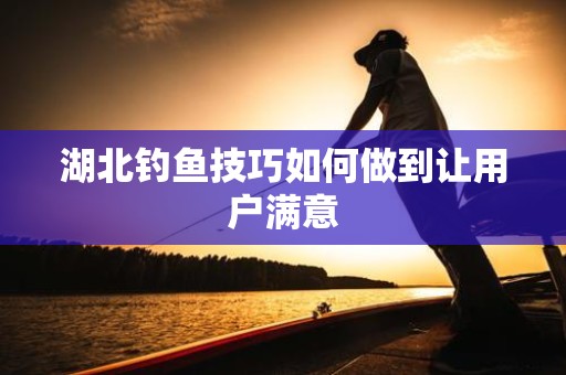 湖北钓鱼技巧如何做到让用户满意