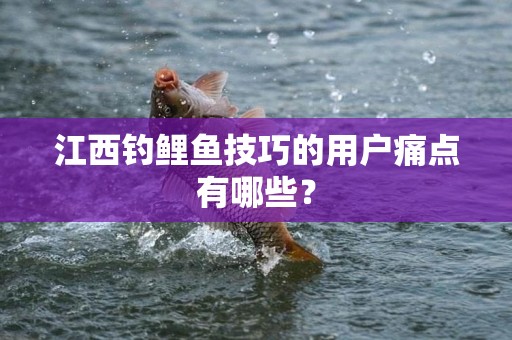 江西钓鲤鱼技巧的用户痛点有哪些？