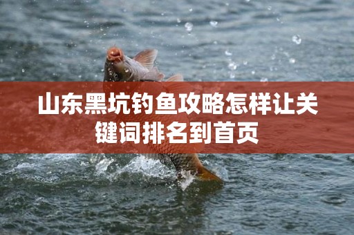 山东黑坑钓鱼攻略怎样让关键词排名到首页