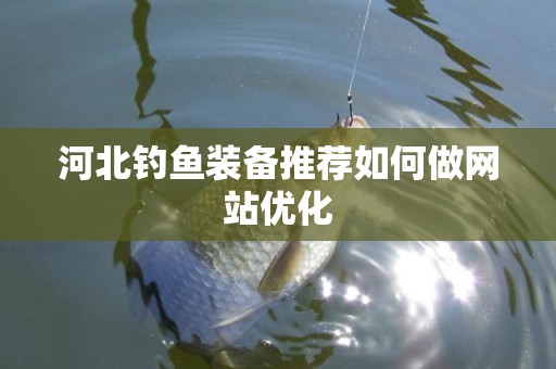 河北钓鱼装备推荐如何做网站优化