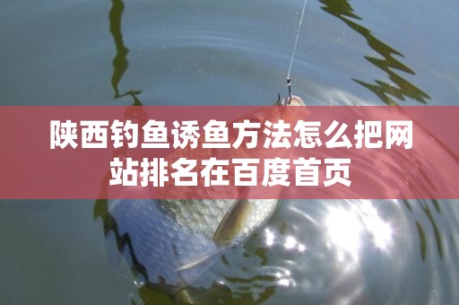 陕西钓鱼诱鱼方法怎么把网站排名在百度首页