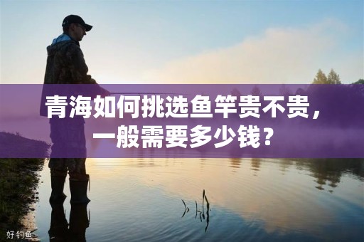 青海如何挑选鱼竿贵不贵，一般需要多少钱？
