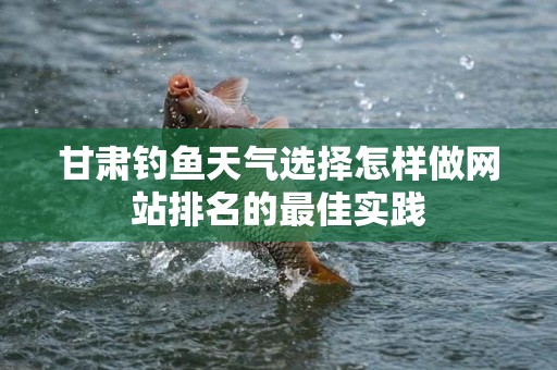 甘肃钓鱼天气选择怎样做网站排名的最佳实践