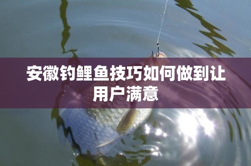安徽钓鲤鱼技巧如何做到让用户满意