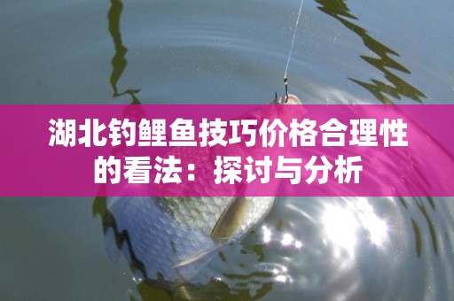 湖北钓鲤鱼技巧价格合理性的看法：探讨与分析