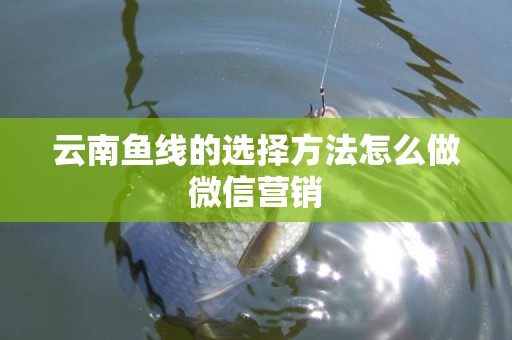 云南鱼线的选择方法怎么做微信营销