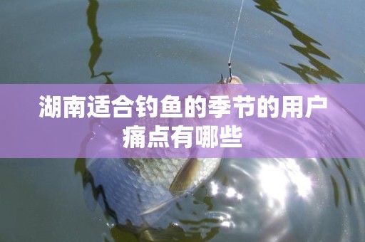 湖南适合钓鱼的季节的用户痛点有哪些