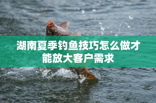 湖南夏季钓鱼技巧怎么做才能放大客户需求