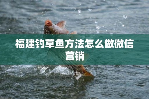 福建钓草鱼方法怎么做微信营销