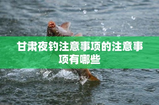 甘肃夜钓注意事项的注意事项有哪些