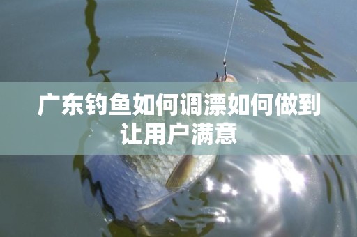 广东钓鱼如何调漂如何做到让用户满意