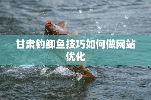 甘肃钓鲫鱼技巧如何做网站优化