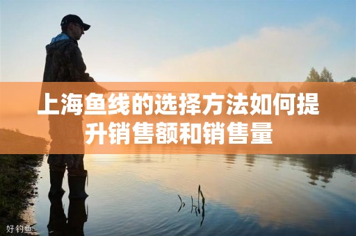 上海鱼线的选择方法如何提升销售额和销售量