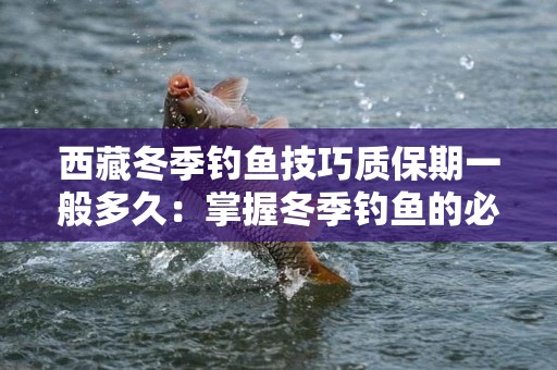 西藏冬季钓鱼技巧质保期一般多久：掌握冬季钓鱼的必备知识