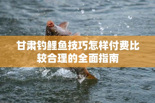 甘肃钓鲤鱼技巧怎样付费比较合理的全面指南