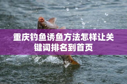 重庆钓鱼诱鱼方法怎样让关键词排名到首页