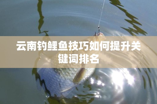 云南钓鲤鱼技巧如何提升关键词排名