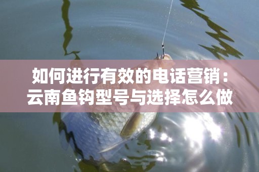 如何进行有效的电话营销：云南鱼钩型号与选择怎么做电话营销