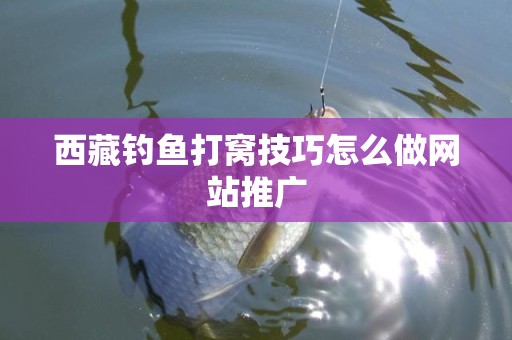 西藏钓鱼打窝技巧怎么做网站推广