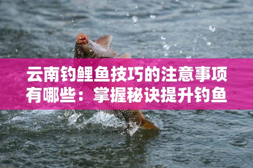 云南钓鲤鱼技巧的注意事项有哪些：掌握秘诀提升钓鱼效果