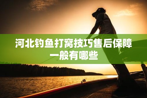 河北钓鱼打窝技巧售后保障一般有哪些