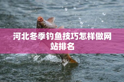河北冬季钓鱼技巧怎样做网站排名