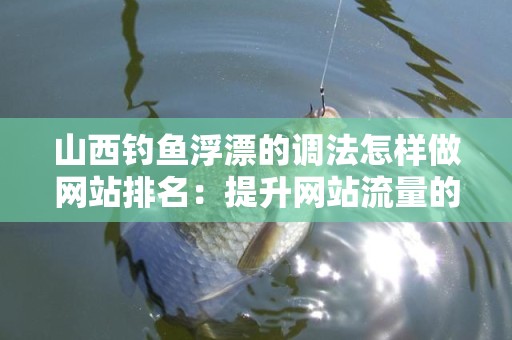 山西钓鱼浮漂的调法怎样做网站排名：提升网站流量的策略