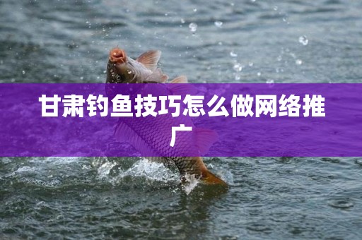 甘肃钓鱼技巧怎么做网络推广