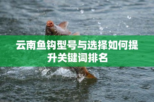 云南鱼钩型号与选择如何提升关键词排名