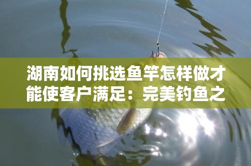 湖南如何挑选鱼竿怎样做才能使客户满足：完美钓鱼之旅的开始