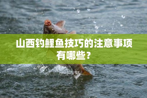 山西钓鲤鱼技巧的注意事项有哪些？