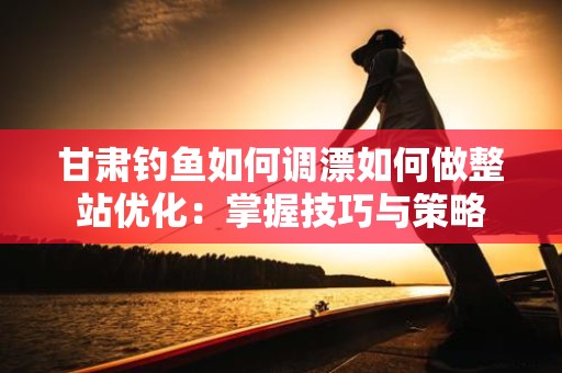 甘肃钓鱼如何调漂如何做整站优化：掌握技巧与策略