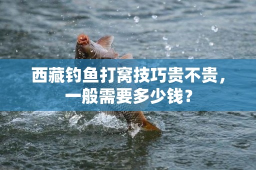 西藏钓鱼打窝技巧贵不贵，一般需要多少钱？