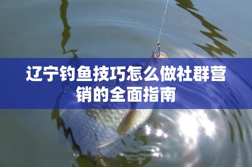 辽宁钓鱼技巧怎么做社群营销的全面指南