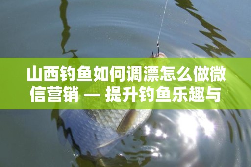 山西钓鱼如何调漂怎么做微信营销 — 提升钓鱼乐趣与营销效果的双重秘籍